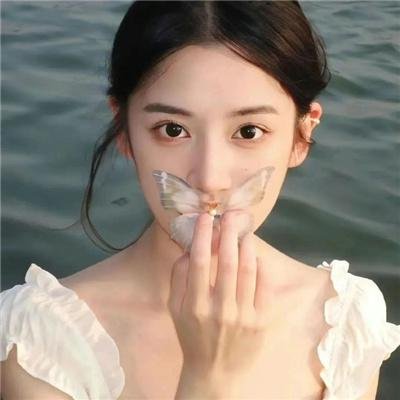 山茶花飘零